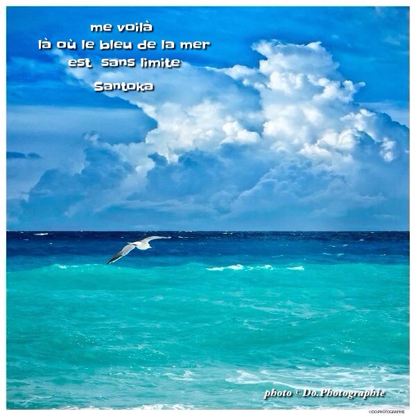 Quand la vie nous émeut