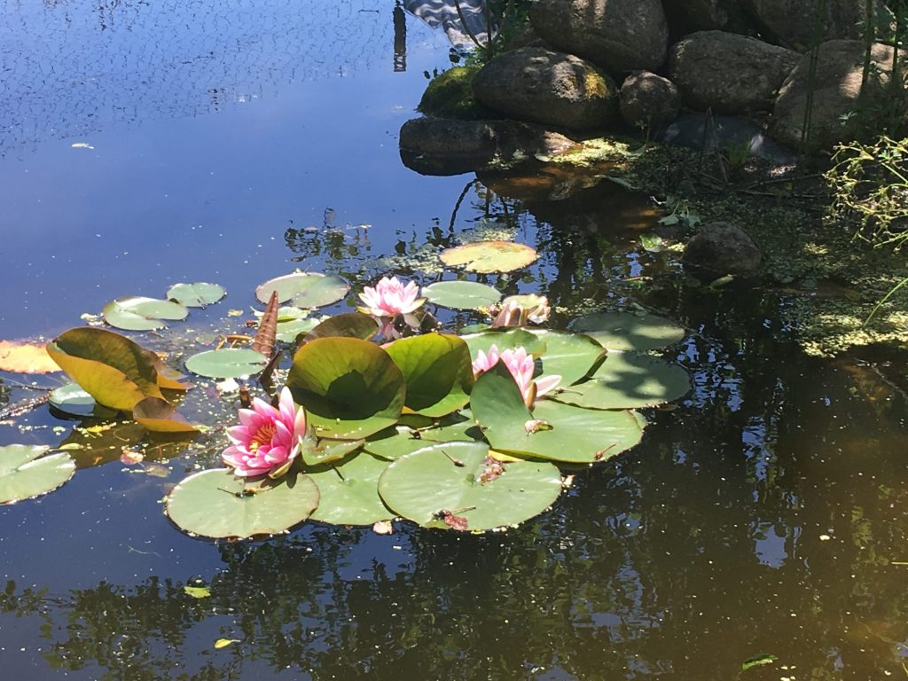 La danse du&nbsp;printemps