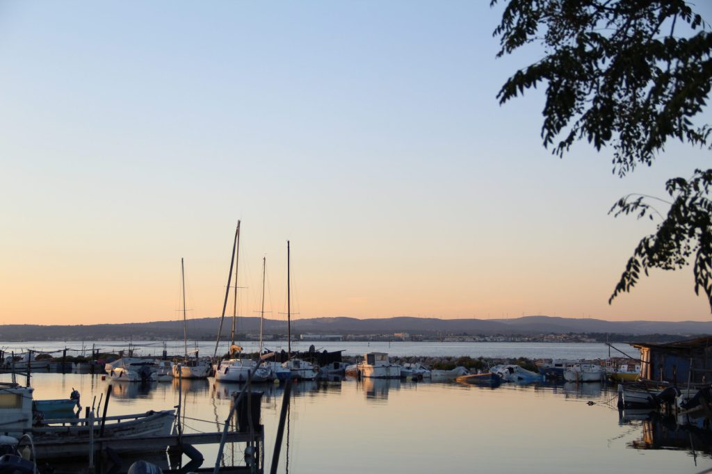 Le cri des&nbsp;goélands