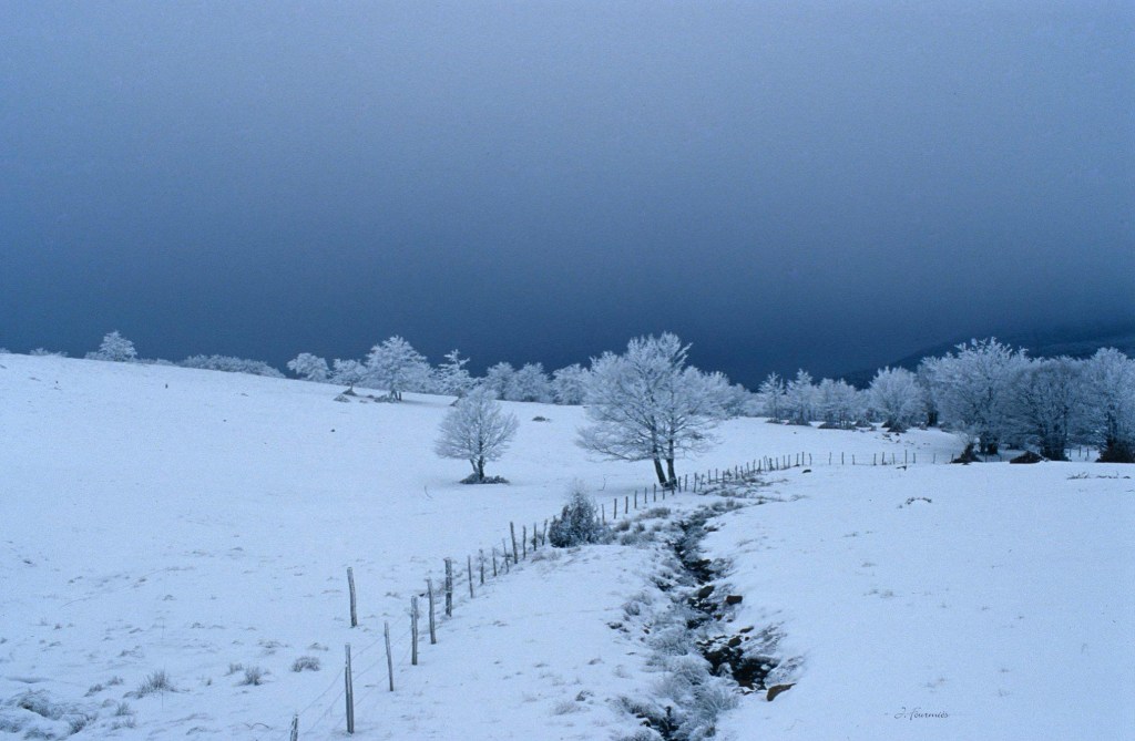 Thème &laquo;&nbsp;LA FEERIE DE L&rsquo;HIVER&nbsp;&raquo; du  &laquo;&nbsp;Coucou du haïku&nbsp;&raquo;