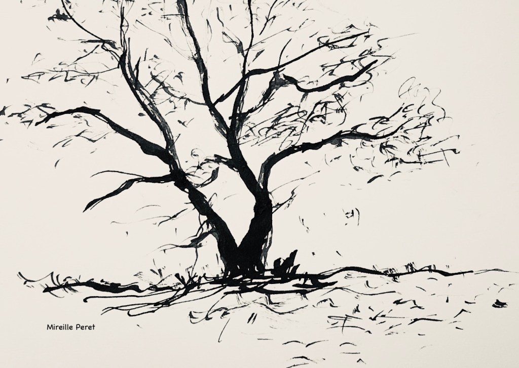 Haïga d&rsquo;automne