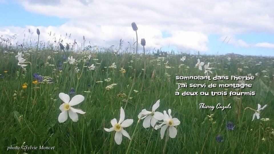 En communion avec la&nbsp;nature