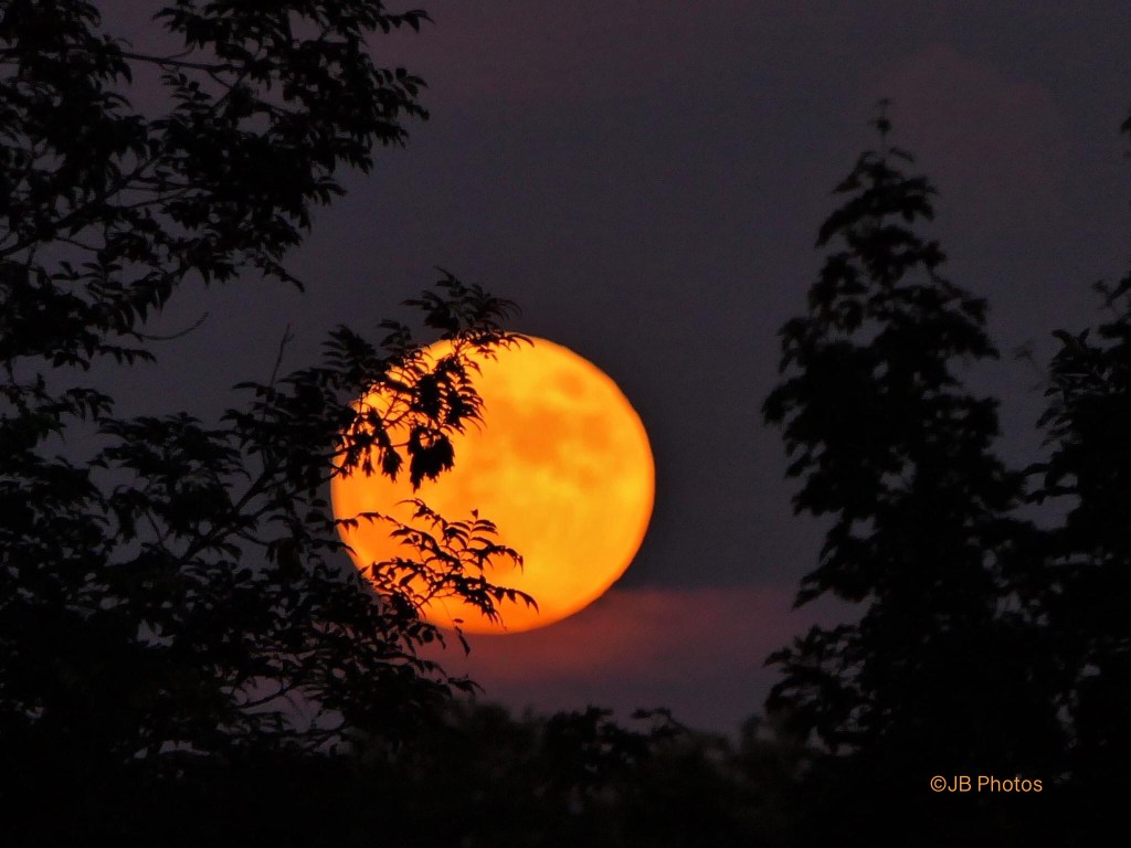 Thème &laquo;&nbsp;Premières chaleurs&nbsp;&raquo; – Ma&nbsp;sélection