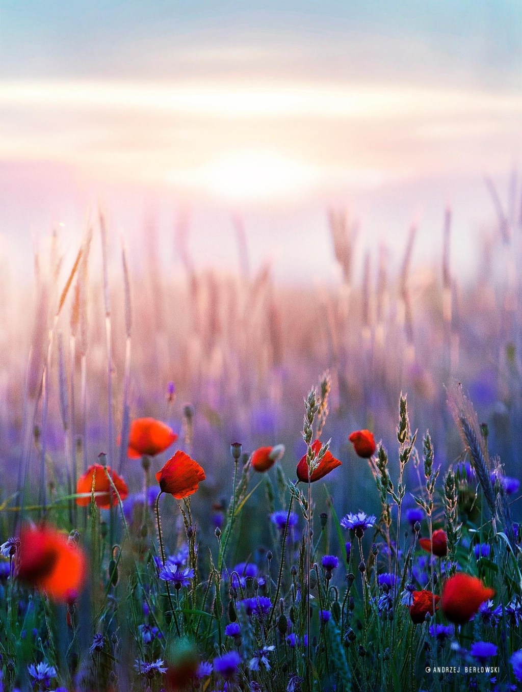 Proposition d&rsquo;un nouveau thème et conseils aux&nbsp;débutants