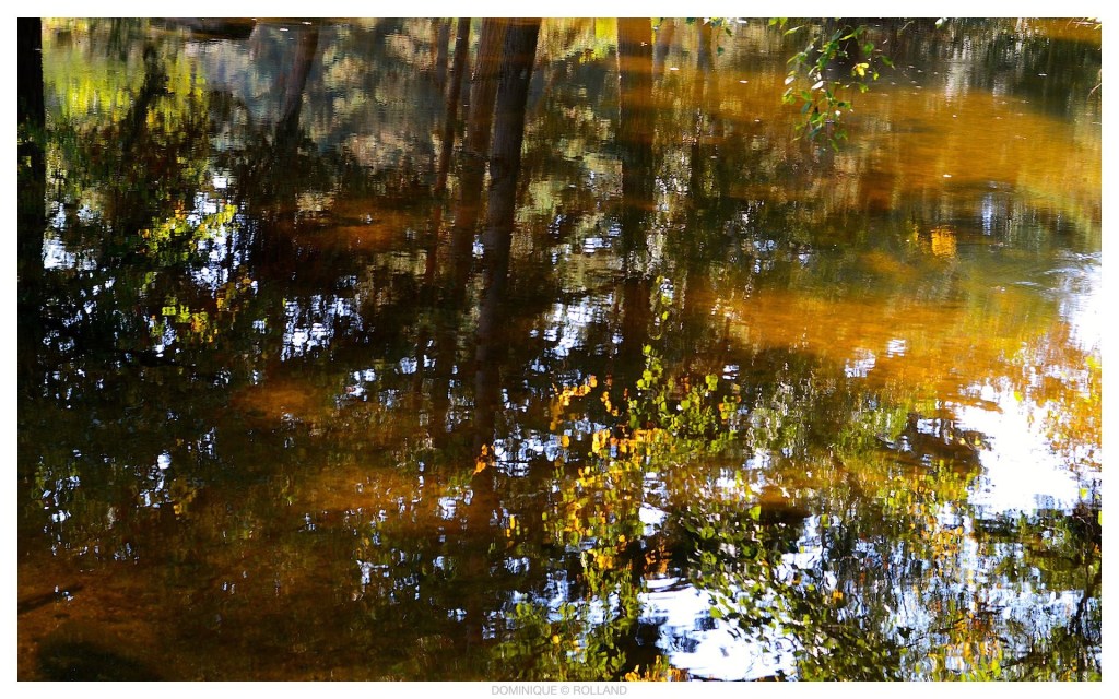 Quand l’été fait place à l’automne…