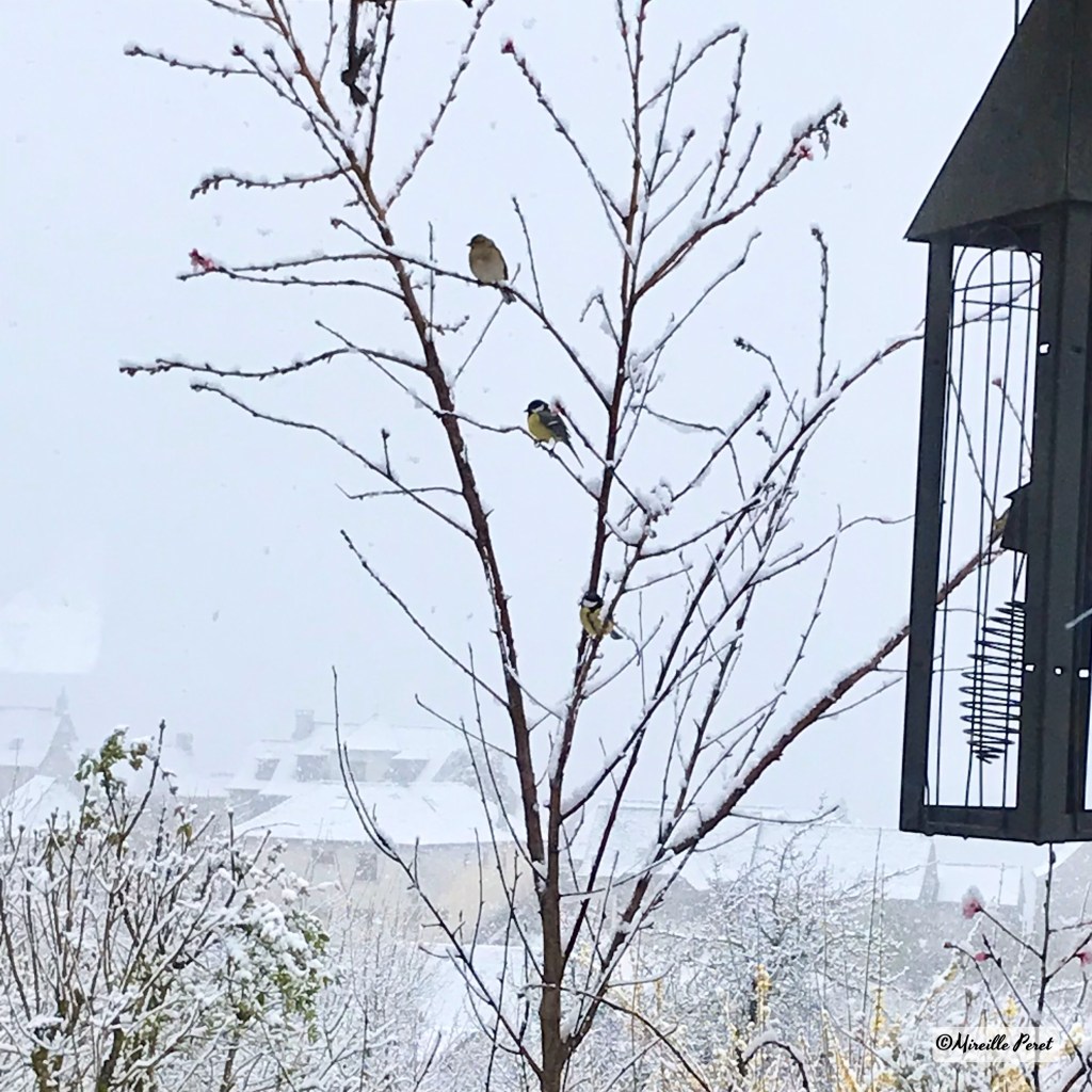 Mes haïkus traduits en&nbsp;arabe