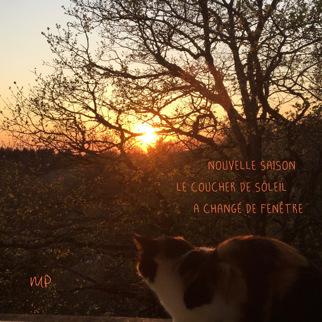 Concours photo-haïkus