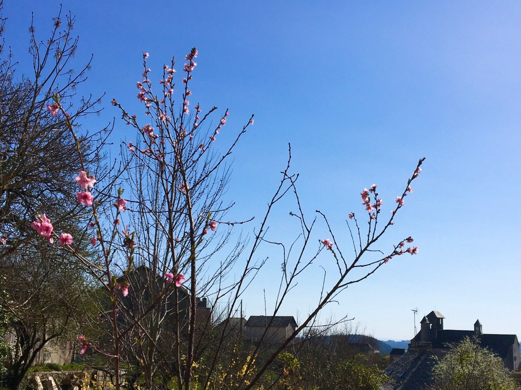 Petite suite printanière