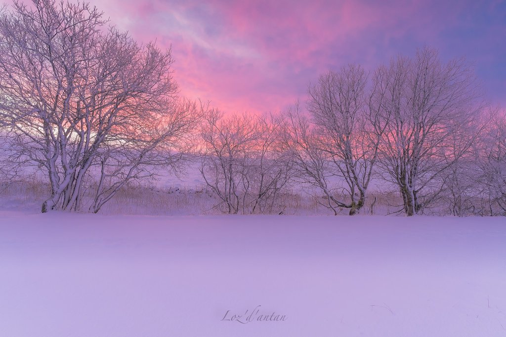 L&rsquo;hiver – Haïkus des&nbsp;lecteurs