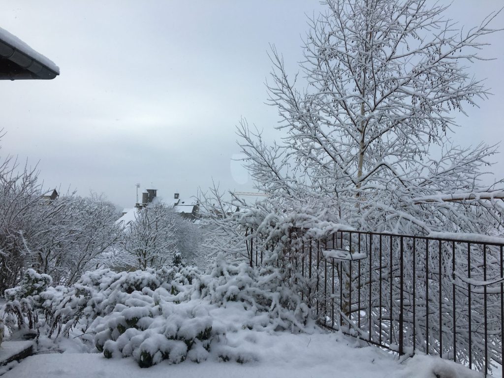 Mes haïkus de l&rsquo;hiver&nbsp;2018-2019