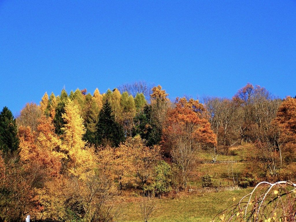 Nouvelle proposition de thème : l’été&nbsp;indien