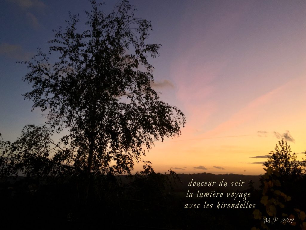 L&rsquo;automne en haïkus-photos