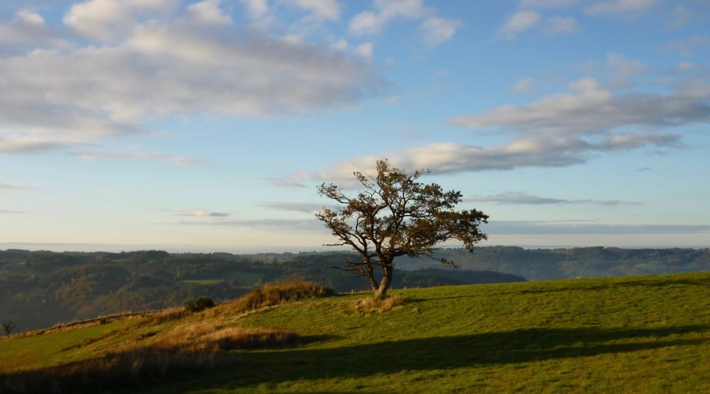 Haibun sur le haïku de Danièle&nbsp;Duteil