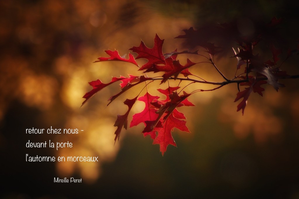 Lauréate de deux concours organisés par l’Association Francophone du Haïku