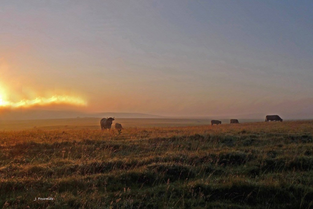 Mes &laquo;&nbsp;haïcoups de coeur&nbsp;&raquo; de&nbsp;l&rsquo;été
