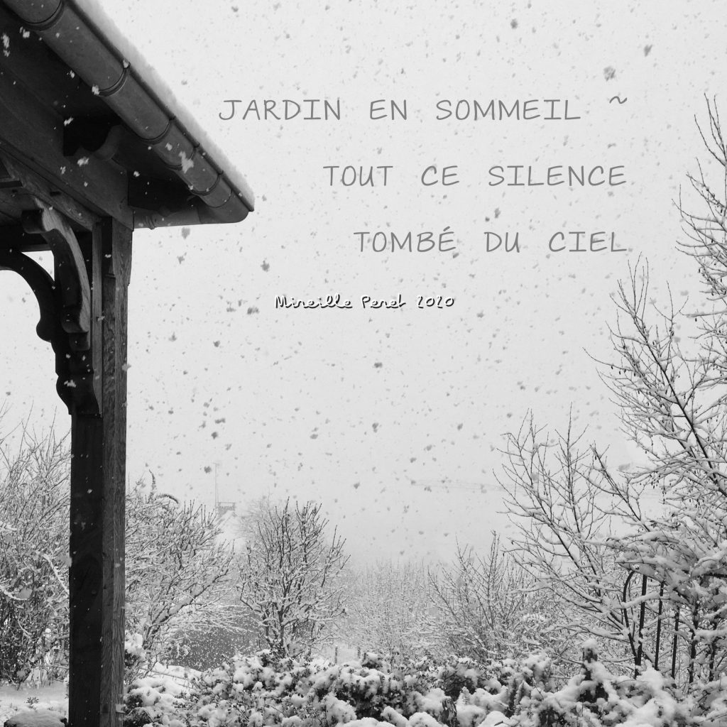 Haishas (haïkus-photos)