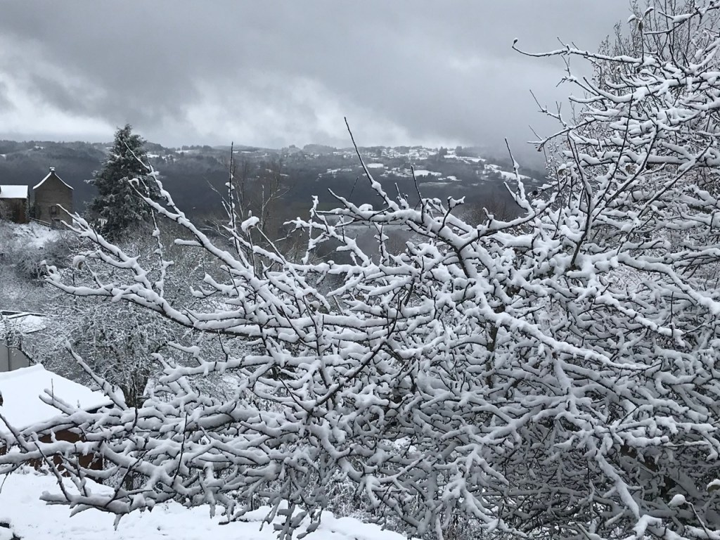 Magie de la neige (montage vidéo)