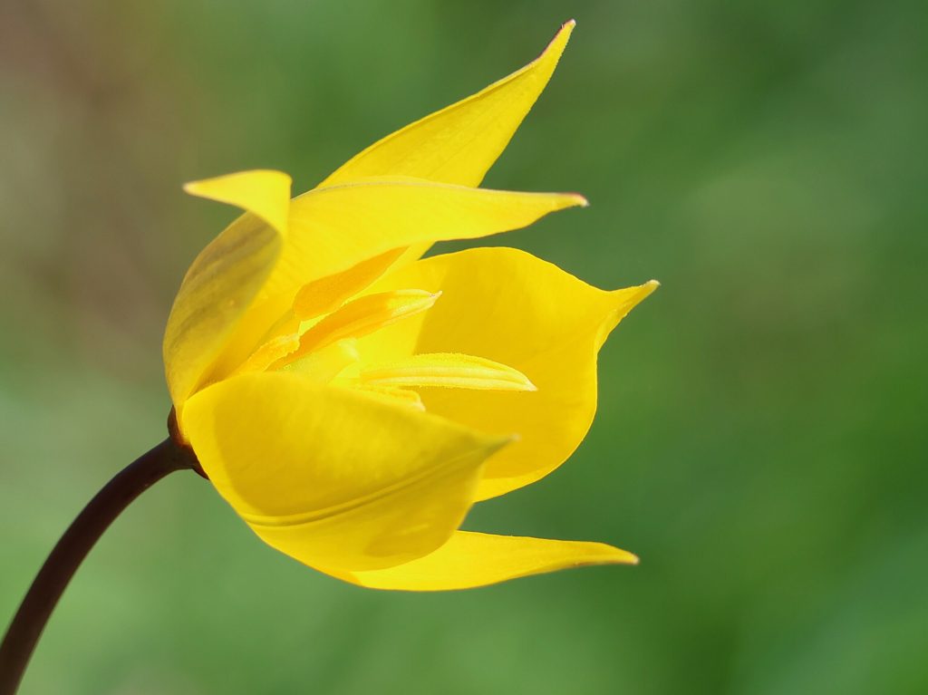 Thème &laquo;&nbsp;Nouveau printemps&nbsp;&raquo; – Ma&nbsp;sélection