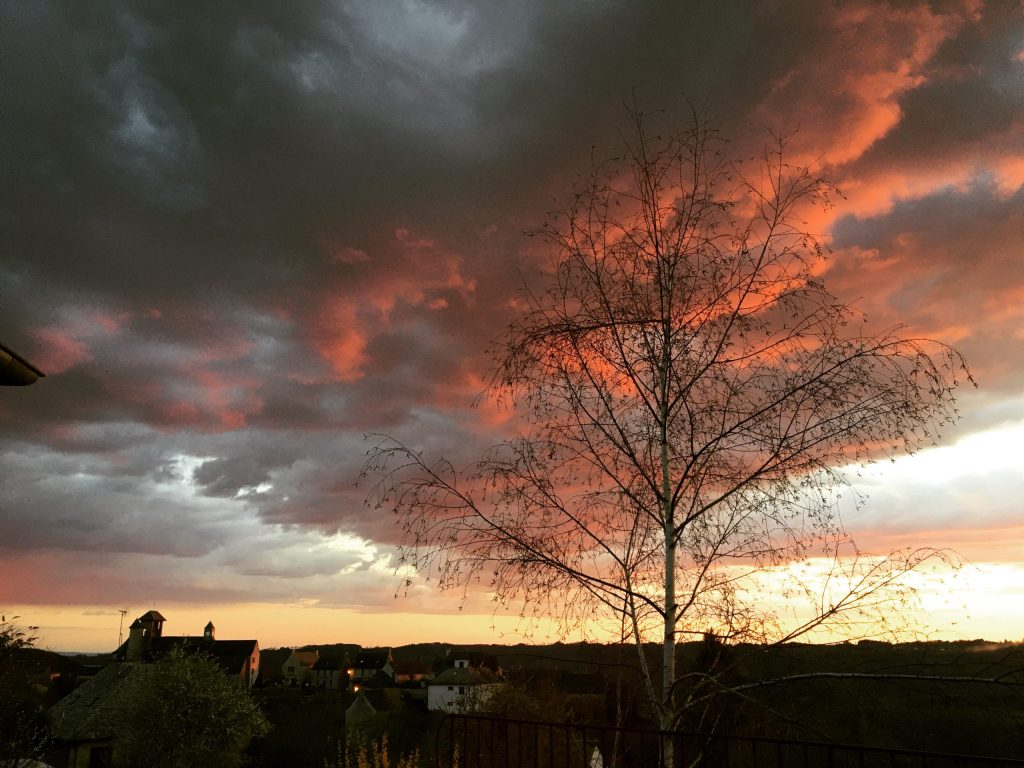 Mes haïkus du confinement (première&nbsp;partie)