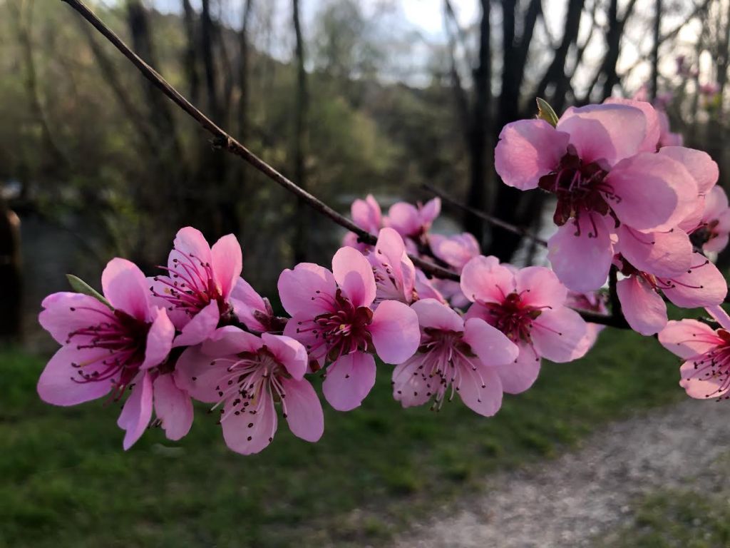 Le confinement vu par les&nbsp;lecteurs