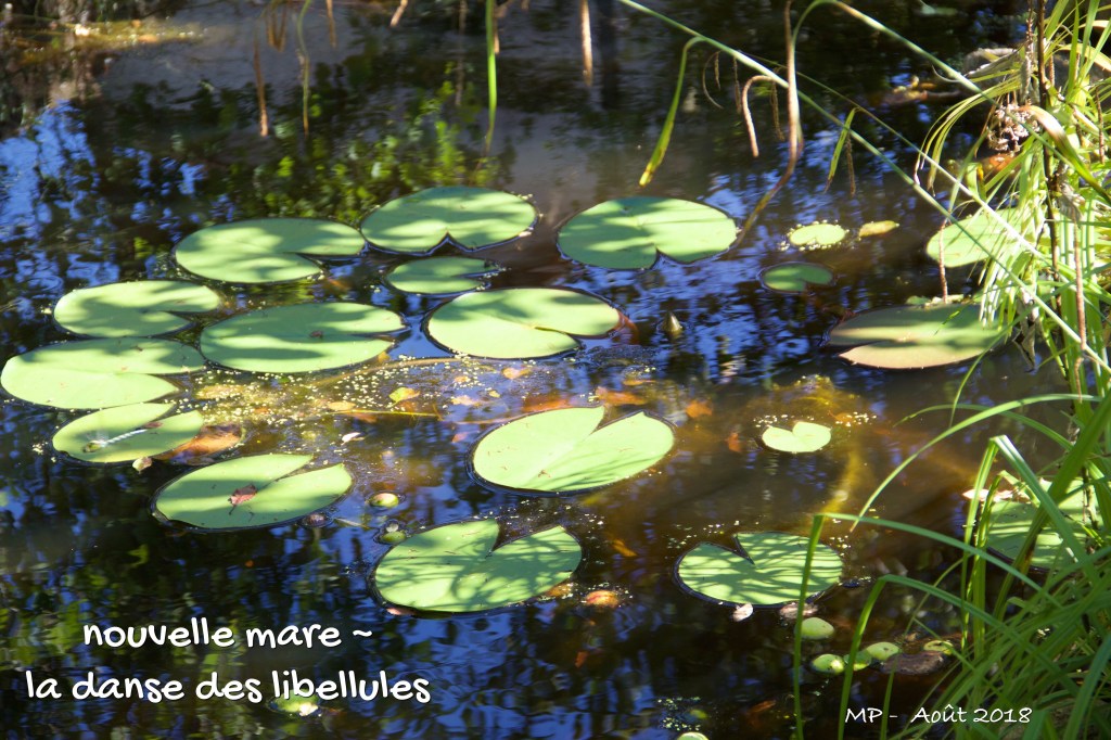 Haïkus de l&rsquo;été – Deuxième&nbsp;partie