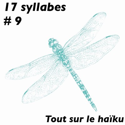« 17 syllabes », podcast avec Philippe Macé