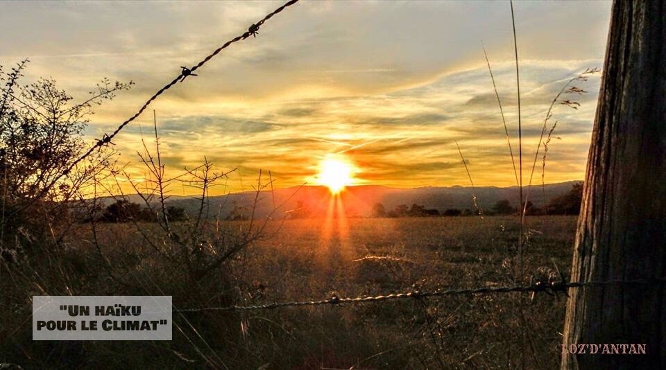 Concours &laquo;&nbsp;Un haïku pour le climat&nbsp;&raquo; 2018