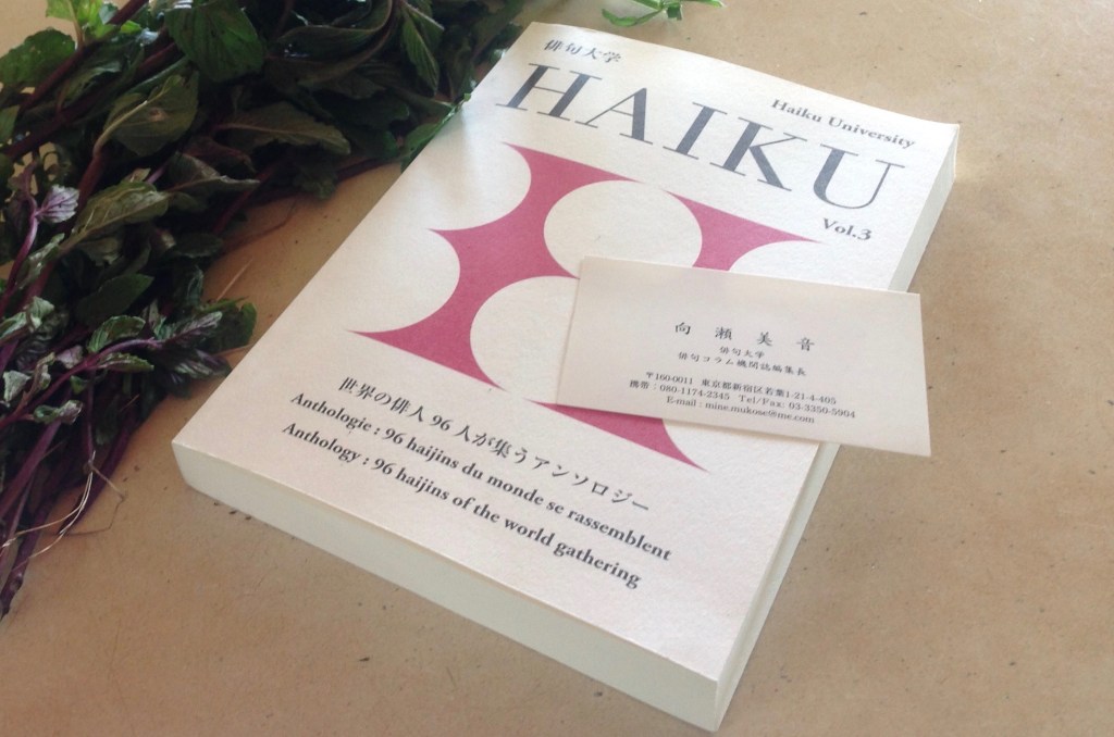 Ma première publication