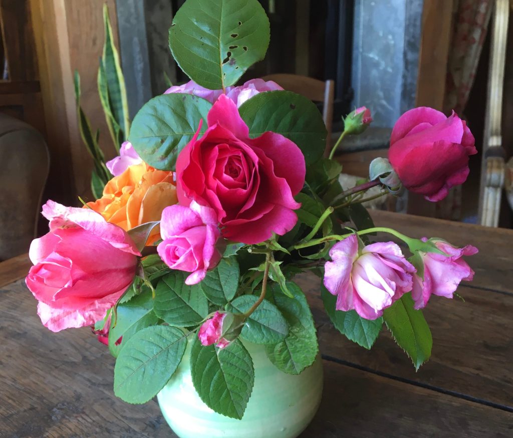 Drôle de printemps&nbsp;!